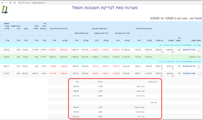 תמונה 1 להדגמה