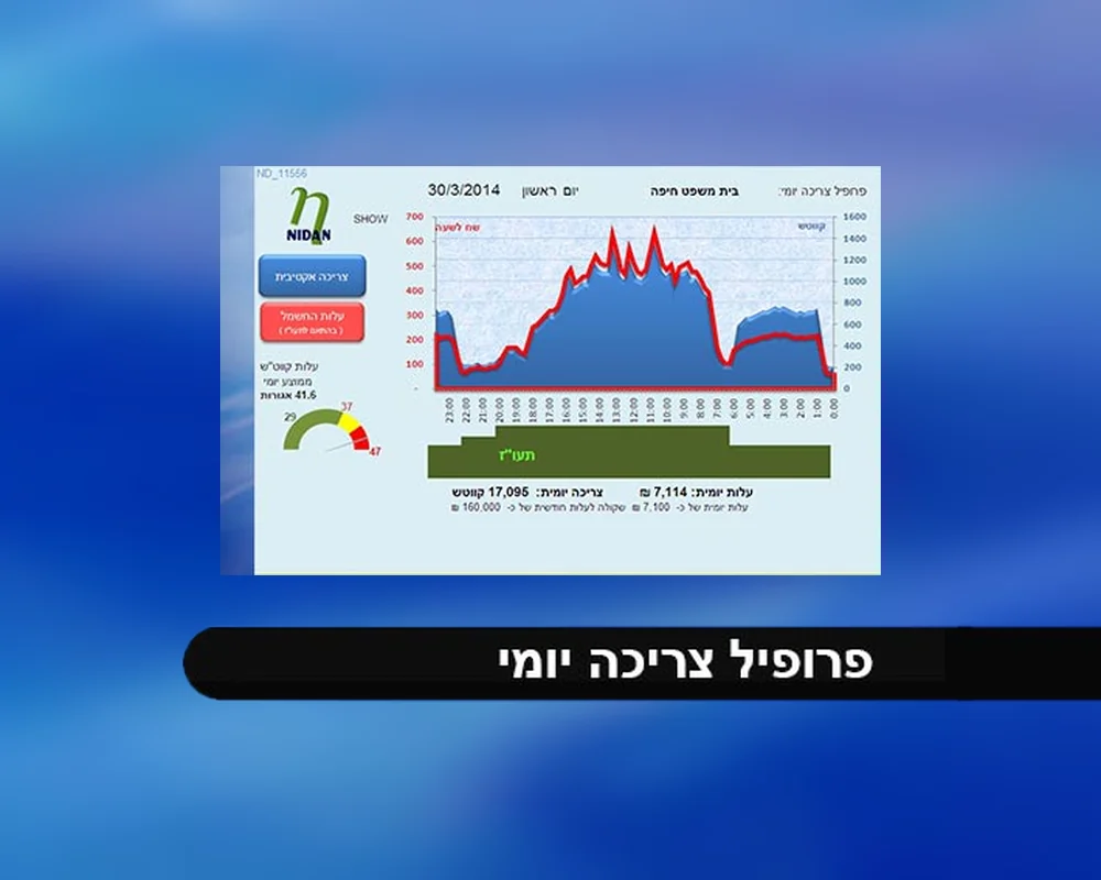 פרופיל צריכה יומי